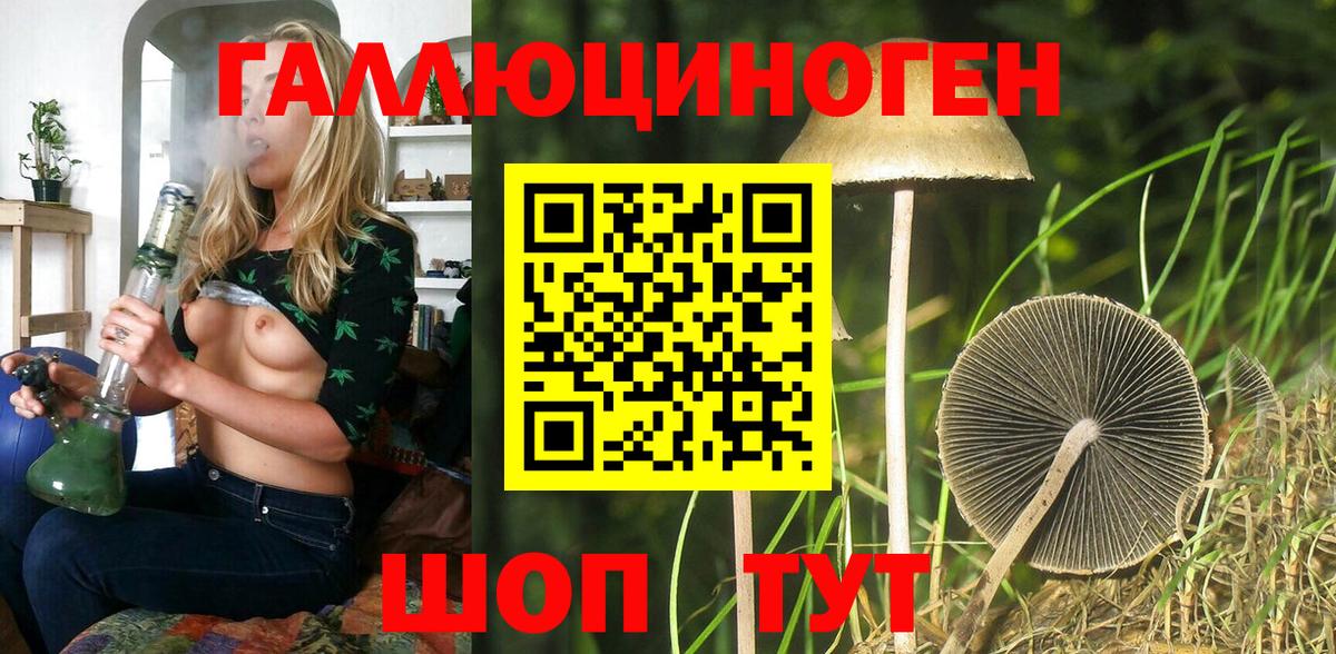 хочу наркоту  Псилоцибиновые грибы Cubensis  Вход с VPN  Псилоцибиновые грибы мицелий  Железноводск 